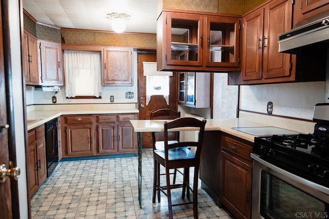 kitchen with stainless steel gas stove and black dishwasher