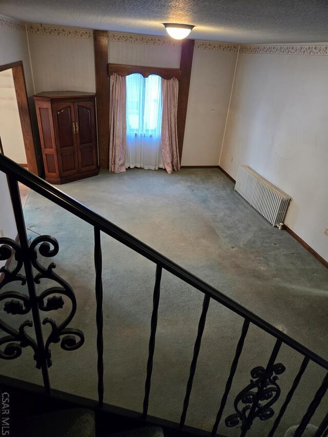 stairs with carpet floors