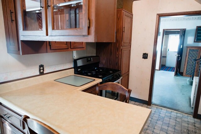 kitchen with stainless steel gas stove