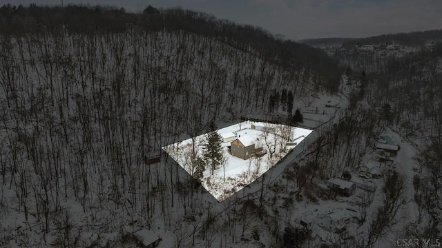 view of snowy aerial view