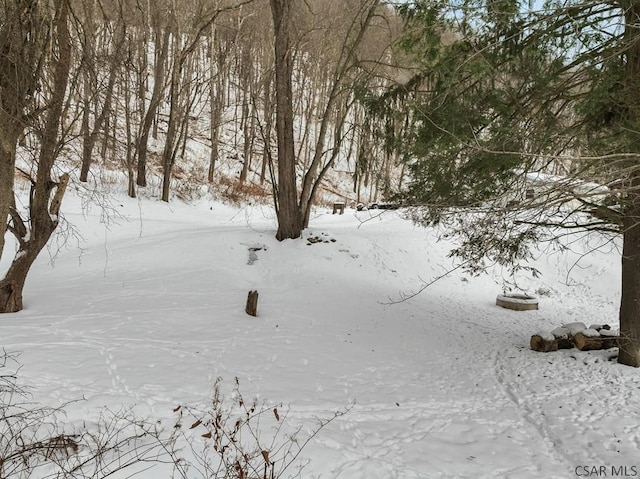 view of snowy view