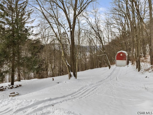 view of yard covered in snow