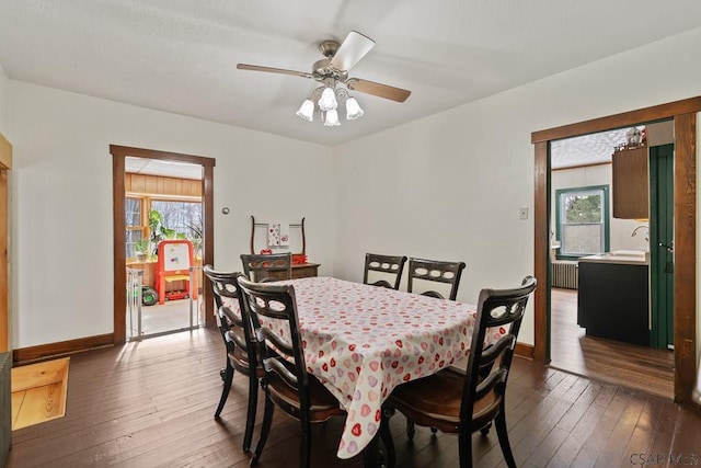 dining room with dark hardwood / wood-style floors, radiator, and a wealth of natural light