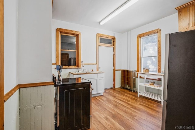 interior space featuring radiator, light hardwood / wood-style flooring, and sink