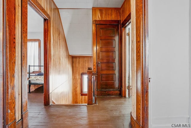 hall with hardwood / wood-style flooring and wooden walls