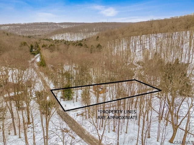 snowy aerial view with a view of trees