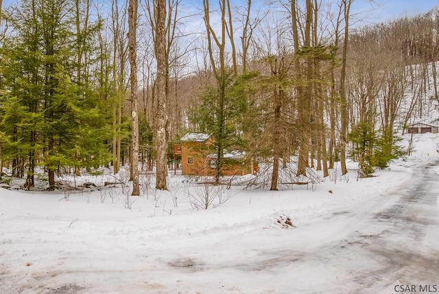 view of yard layered in snow