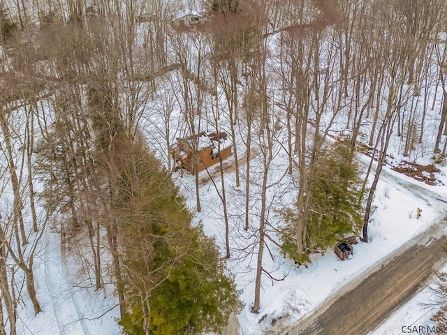 view of snowy aerial view