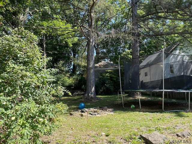 view of yard featuring a trampoline