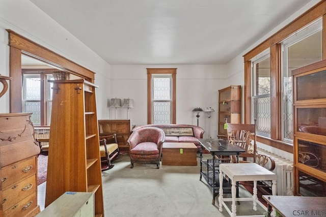 624 Oden St, Confluence, PA 15424 - sitting room with plenty of natural light and carpet