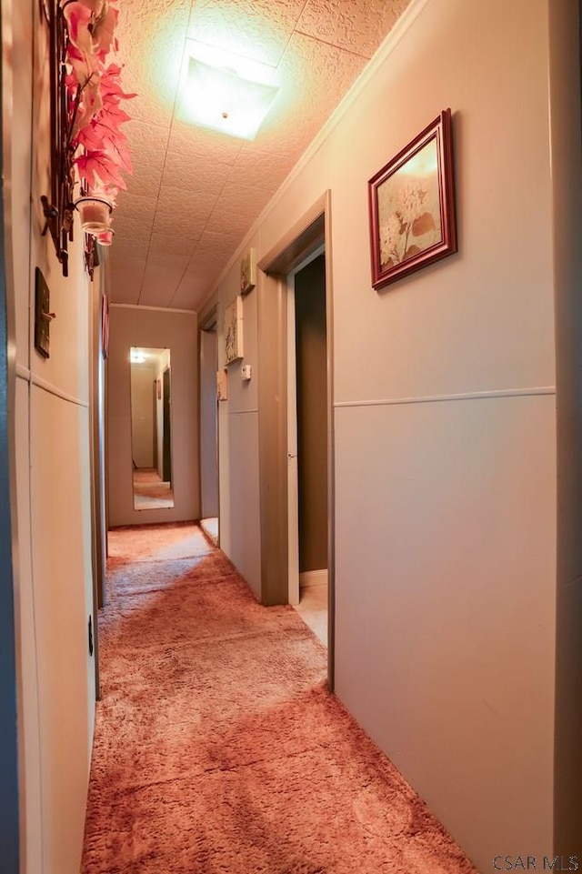 corridor featuring a textured ceiling, ornamental molding, and light carpet