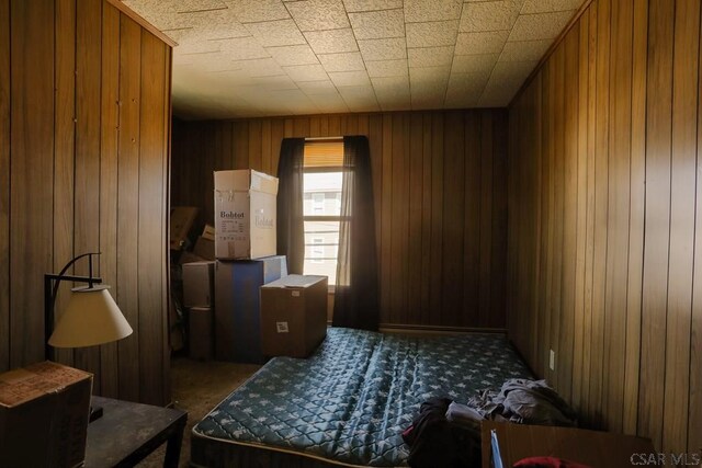 miscellaneous room featuring carpet flooring and wood walls