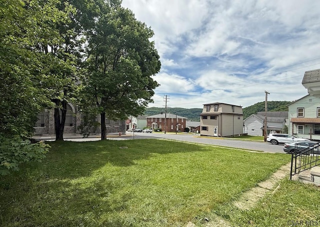 304 Oak St, Conemaugh, PA 15909 - view of green lawn