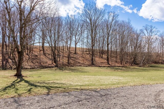 473 W Bakersville Edie Rd, Somerset, PA 15501 - photo 16