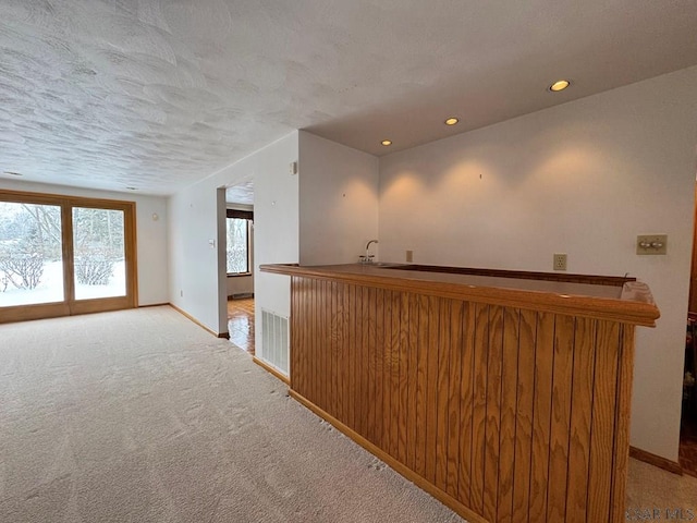 bar featuring light colored carpet, sink, and a textured ceiling