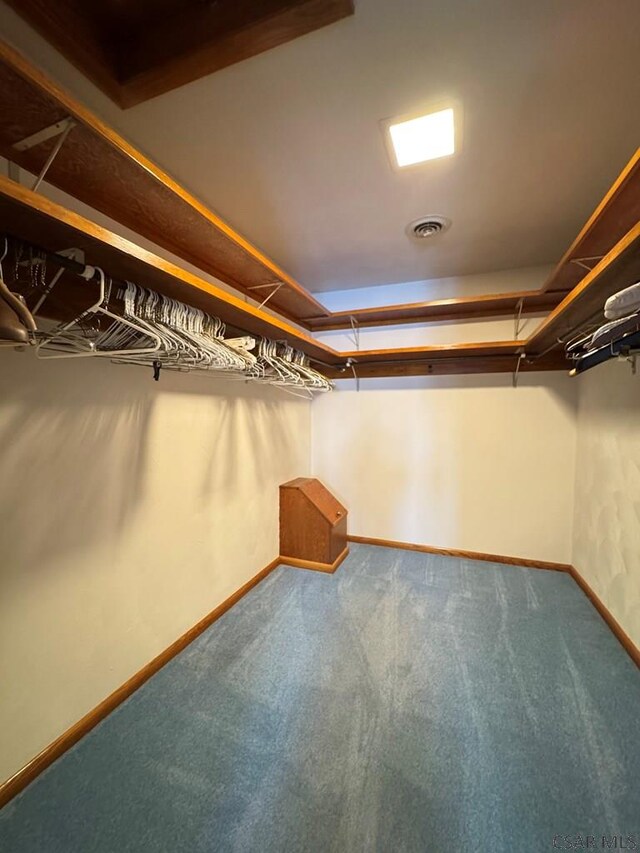 spacious closet with carpet floors