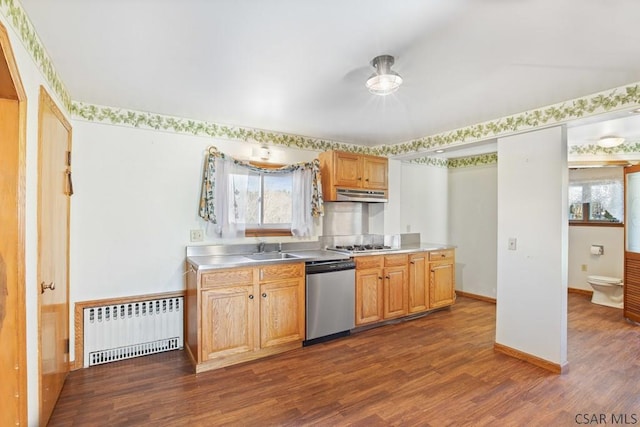 kitchen featuring appliances with stainless steel finishes, dark hardwood / wood-style floors, radiator heating unit, and sink