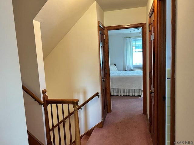 2269 Sunshine Ave, Johnstown, PA 15905 - hall featuring carpet flooring and an upstairs landing