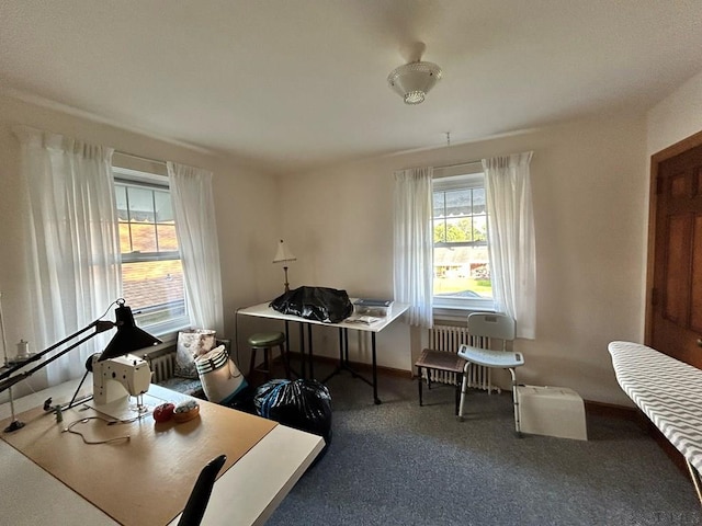 2269 Sunshine Ave, Johnstown, PA 15905 - home office featuring carpet floors and baseboards