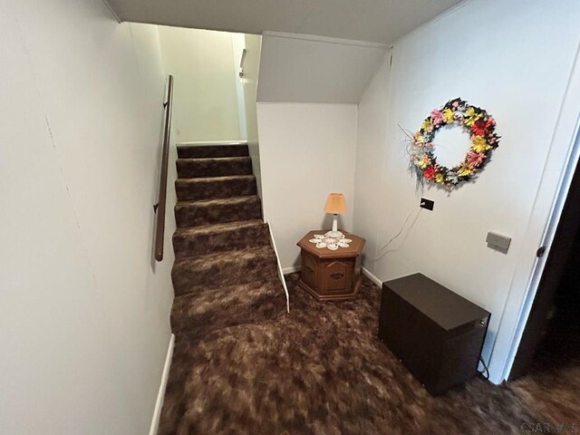 2269 Sunshine Ave, Johnstown, PA 15905 - staircase with carpet floors
