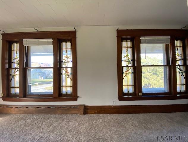 1182 Forest Hills Dr, Salix, PA 15952 - photo 45