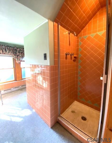 1182 Forest Hills Dr, Salix, PA 15952 - photo 57