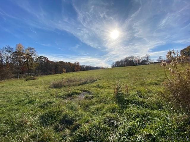 1182 Forest Hills Dr, Salix, PA 15952 - photo 74