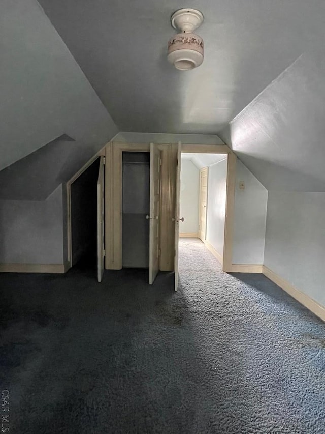 additional living space featuring vaulted ceiling and carpet floors