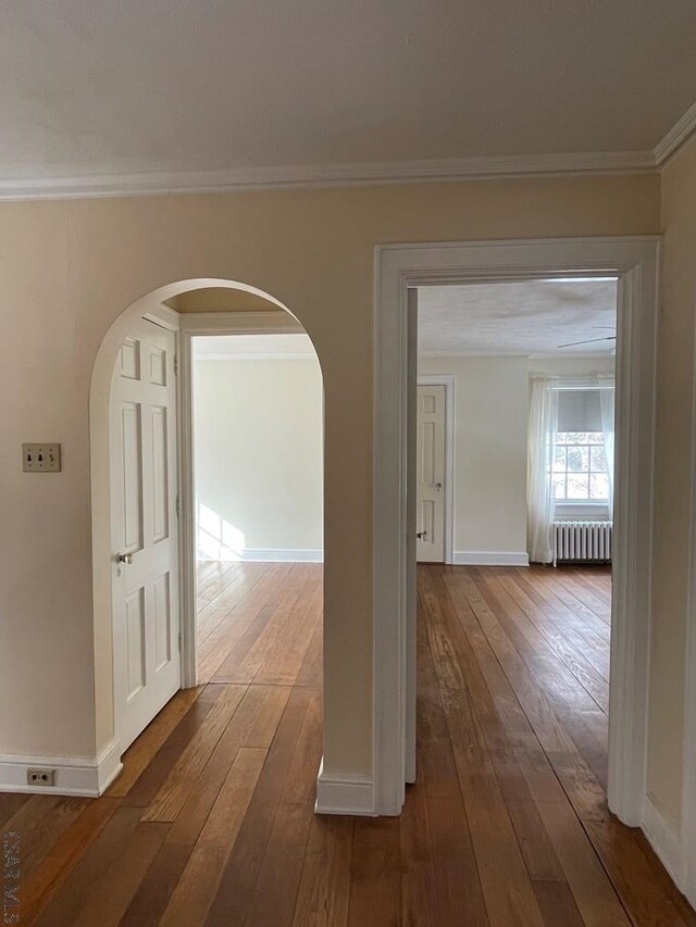 hallway featuring crown molding, radiator heating unit, and dark hardwood / wood-style flooring