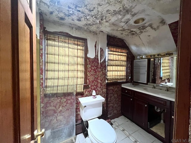 bathroom featuring lofted ceiling, vanity, a healthy amount of sunlight, and toilet