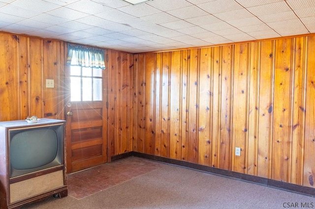 interior space with wooden walls and carpet