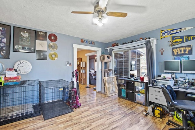 office with ceiling fan, light hardwood / wood-style flooring, and a textured ceiling