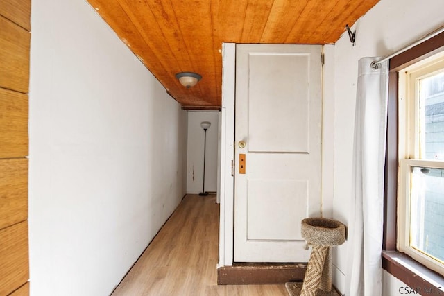 corridor featuring wood ceiling, plenty of natural light, and light hardwood / wood-style flooring