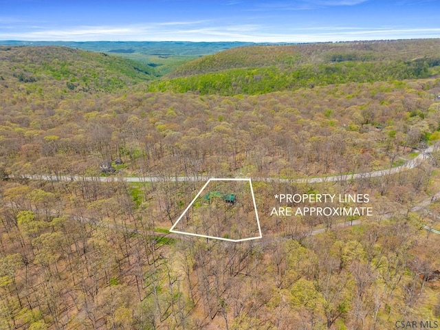 706 Laurel Summit Rd, Boswell, PA 15531 - drone / aerial view of a forest