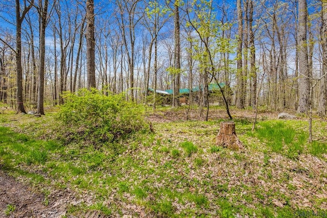 706 Laurel Summit Rd, Boswell, PA 15531 - view of yard