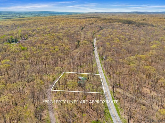 706 Laurel Summit Rd, Boswell, PA 15531 - aerial view of property and surrounding area featuring a forest