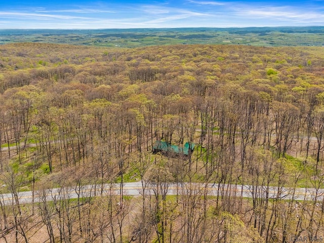 706 Laurel Summit Rd, Boswell, PA 15531 - aerial view of property and surrounding area with property parcel outlined and a forest