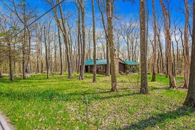 706 Laurel Summit Rd, Boswell, PA 15531 - view of yard