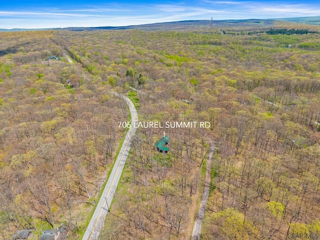 706 Laurel Summit Rd, Boswell, PA 15531 - drone / aerial view of a forest