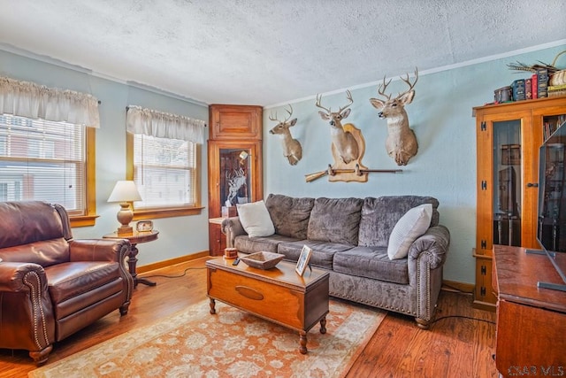 352 W Garrett St, Somerset, PA 15501 - living area with wood finished floors, a textured ceiling, and ornamental molding
