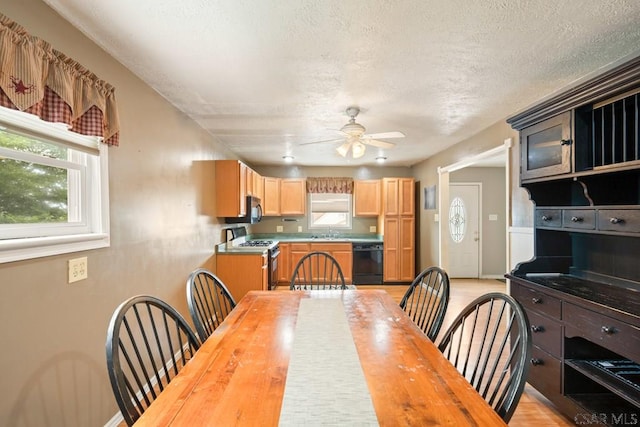 789 N Edgewood Ave, Somerset, PA 15501 - photo 10