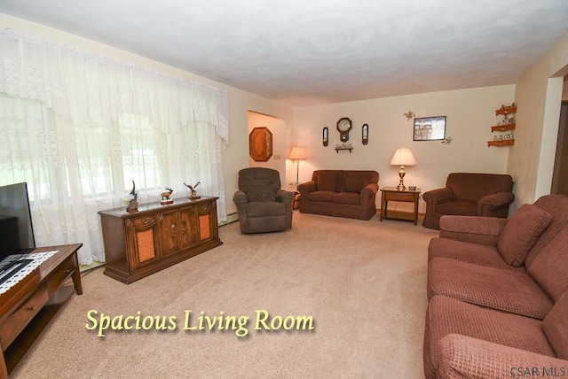 312 Furnari Ave, Johnstown, PA 15905 - living room with carpet floors and a baseboard heating unit