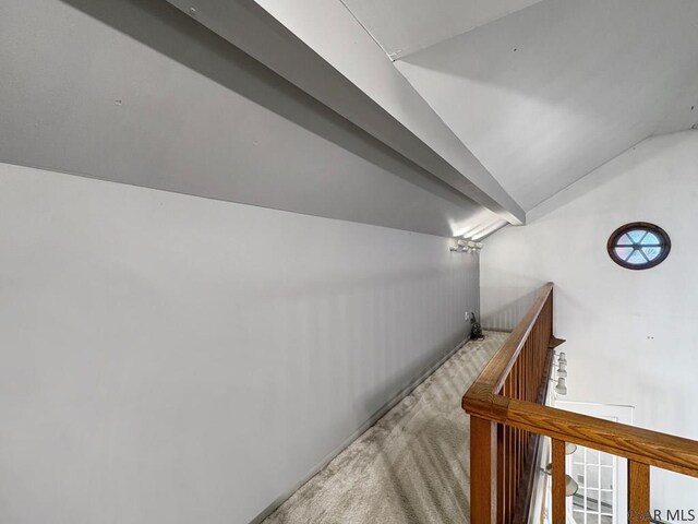 stairway featuring lofted ceiling and carpet flooring