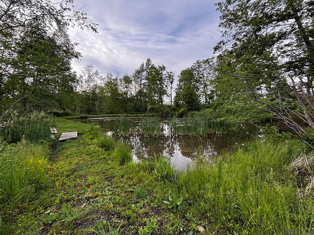 Ridge Rd, Hooversville, PA 15936 - photo 2