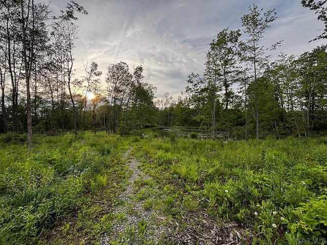 Ridge Rd, Hooversville, PA 15936 - photo 4