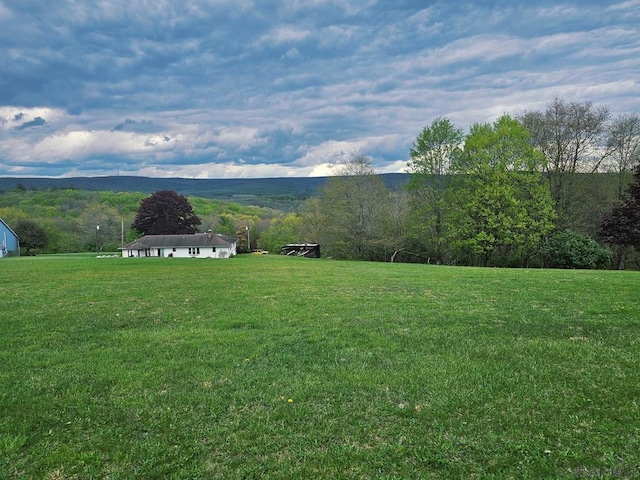 White Star Way, Jennerstown, PA 15547 - photo 5