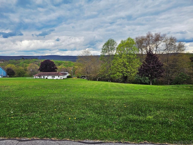 White Star Way, Jennerstown, PA 15547 - photo 1