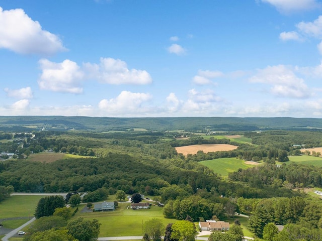 White Star Way, Jennerstown, PA 15547 - photo 6