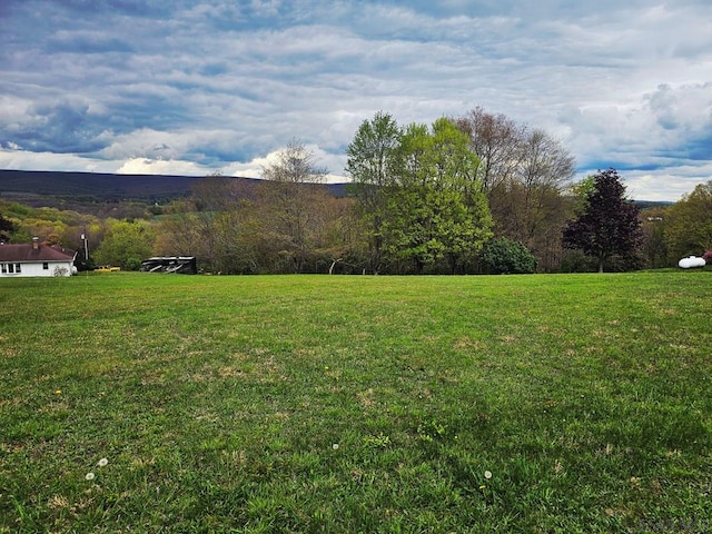 White Star Way, Jennerstown, PA 15547 - photo 4