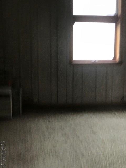 532 1st St, Windber, PA 15963 - detailed view of carpet flooring